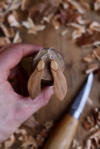 Image 2 of Maple/Sycamore Seed- Earrings 