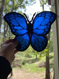 Image 2 of Butterflies 