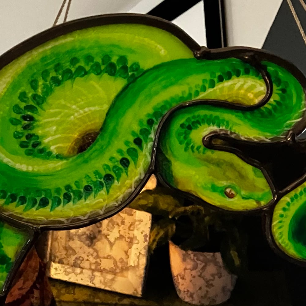 Image of Plumeria & Python Mirror
