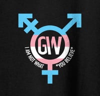 Image 2 of GW “PROTECT TRANS YOUTH” Shirt ***PREORDER***