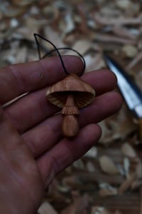 Image 3 of Apple Wood Parasol Mushroom