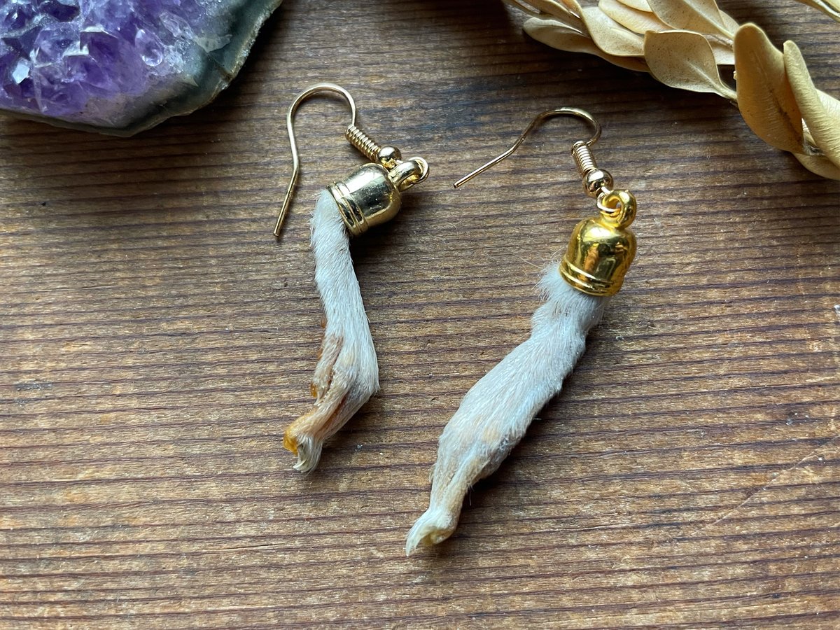 Image of Cavy Paw Earrings 