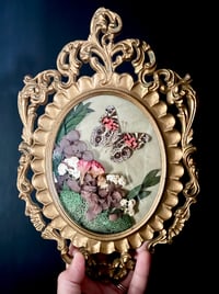 Image 3 of American Lady Butterfly Botanical Frame