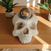 Image 2 of Old Bones Cement Skull Planter - Aged & Weathered Gothic Decor