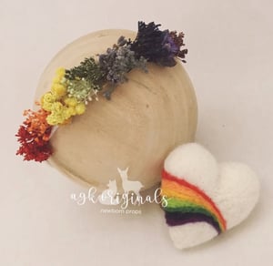 Image of Rainbow Teddy