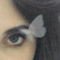 “mariposa” photo art print 4x6