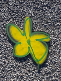 Image 4 of Wooden flower cutouts 