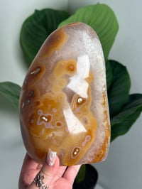 Image 3 of ORBICULAR CARNELIAN FREEFORM -MADAGASCAR- A