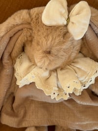 Image 4 of DOUDOU ET SA TENUE MARRONÉ IRISÉ