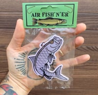 Tarpon Air Fish’n’er