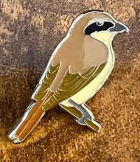 Image 2 of Turkestan Shrike - No.94 - UK Birding Pins - Enamel Pin Badge