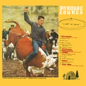 Image of Parquet Courts - Light Up Gold -Black Vinyl LP 