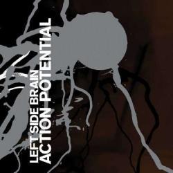 Image of Action Potential CD