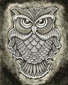 Image of Owl Print