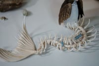Image 4 of Vulture Mermaid