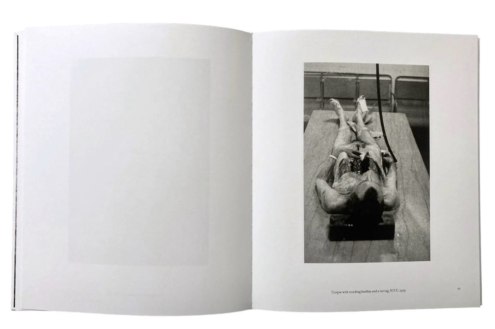 diane arbus 写真作品集 Diane Arbus 写真集 作品集 洋書 レア 希少 ダイアン アーバスの