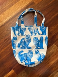 Image 1 of Blue Cats Sand Bag M