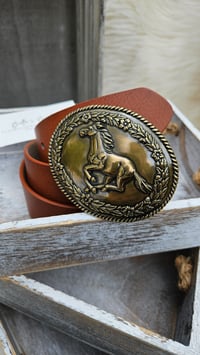 Image 1 of Horse Buckle Brown Belt