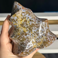 Image 4 of Ocean Jasper Flame (44F)