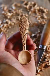 Image 5 of Oak and Acorn Coffee Scoop