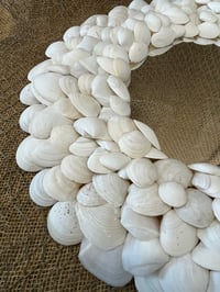 Image 3 of Seashell Mirror Shite 24”