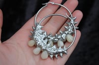 Image 2 of Dead good teeth hoops 