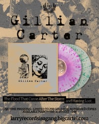 Image 1 of Gillian Carter having lost/the flood 2xlp