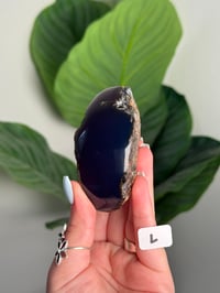 Image 12 of CHOOSE YOUR OWN HALF POLISHED BLUE SUMATRAN AMBER -INDONESIA- **UV REACTIVE**