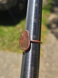 Image 2 of Electroformed Sage leaf ring size 6.25