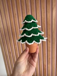 Image 3 of CHRISTMAS TREES MINI