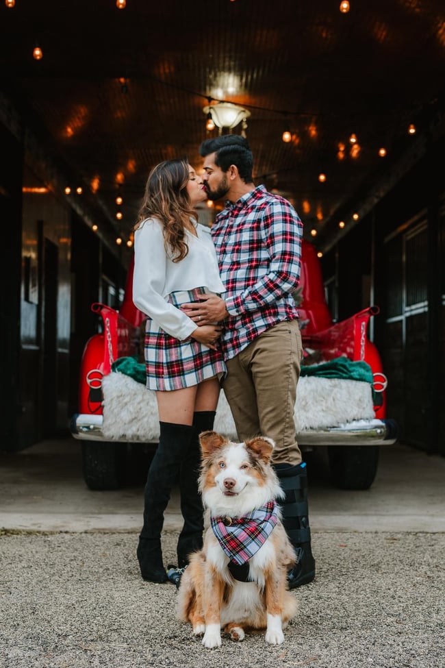 Red Truck Holiday Minis