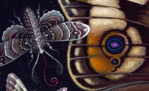 Image of LEPIDOPTERA • 20 x 24" Signed Open Edition