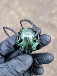 Image 5 of Matalic Green Raven Skull Pendant