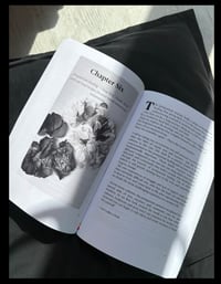 Image 2 of A Guided journey through Pregnancy, Birth, Postpartum & Motherhood 