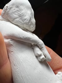 Image 4 of Plaster diprosopus kitten 