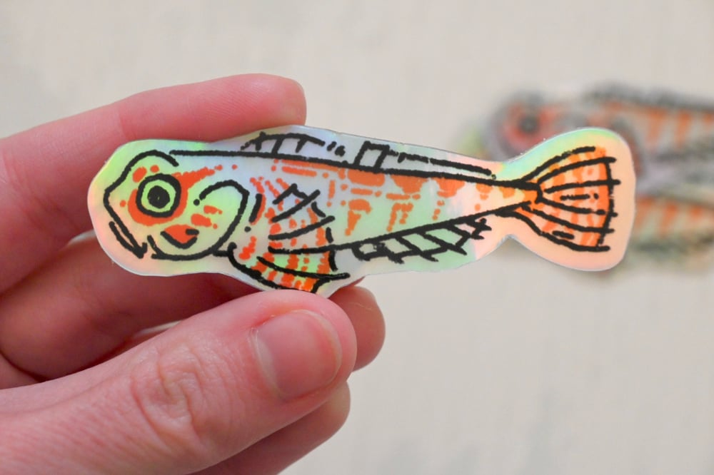 Tiger Barb, Loach, Sculpin - 3 inch Stickers