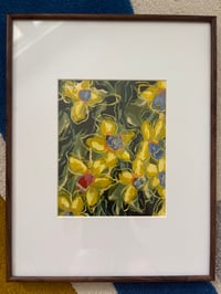 Image 4 of Daffodils