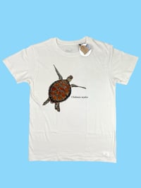 Image 1 of T-shirt TARTARUGA MARINA