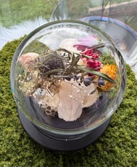 Image 5 of Honeycomb Kitty Cloche