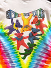 Grateful Dead 1991 Spring Tour T-Shirt — Fits L