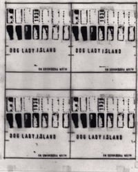 3 Dog Lady Island