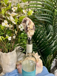 Image 4 of Oyster Shell Wine Stopper  W103