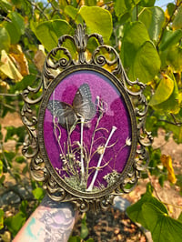 Image 2 of Margot