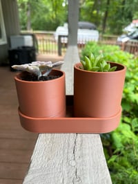 Double Succulent Pot