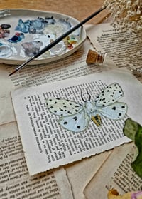 Image 4 of Life in Old Pages Insect n. 58 Tiger Moth