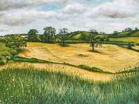 Image 4 of Chesterblade Hills