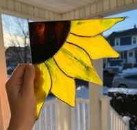 Image 1 of Corner Sunflower