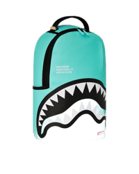 Sprayground Backpack