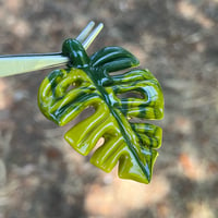 Image 3 of Variegated Monstera Leaf