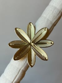ANILLO CÓRDOBA